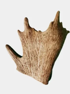 Bois de daim à mâcher naturel pour chien
