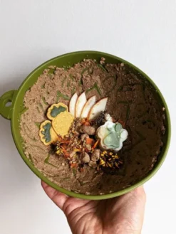Bol de léchage - Tipsy Bowl Vert - SodaPup