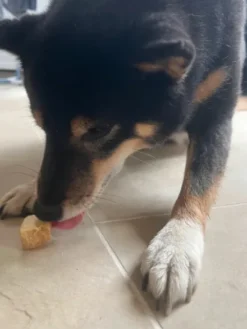 Bouchées de Fromage de Yak soufflé pour chien - Pawfect