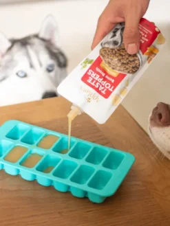 Bouillon d'os pour chien - Boeuf 🐂 - Applaws
