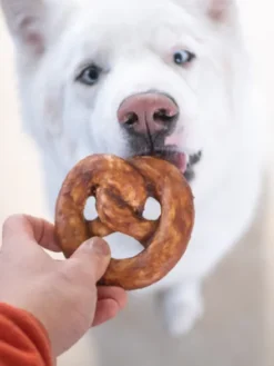 Bretzel de collagène à mâcher - Boeuf 🐂