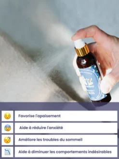 Brume relaxante Mé’dors pour chien - Anti-stress naturel et apaisant