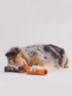 Bâton en caoutchouc pour chien - Super Stick Orange - Beco