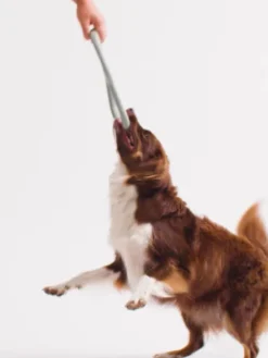 Bâton en caoutchouc pour chien - Tugger Vert - Beco
