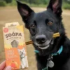 Bâtonnets à mâcher pour chien - Carotte et Citrouille