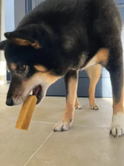 Bâtons de Fromage de Yak à mâcher pour chien - Taille M