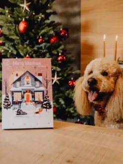 Calendrier de l'avent 2026 chien sensible ou chiot - Hypoallergénique