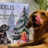 Calendrier de l'avent XL pour chien - 55 friandises - Fidelis