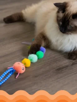 Canne à pêche pour chat - Tail teaser Sauterelles - Catstages