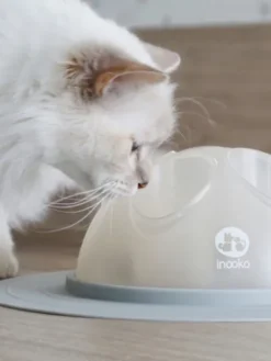 Cat Igloo - Jouet interactif pour Chat - Gris