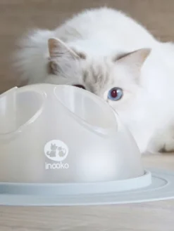 Cat Igloo - Jouet interactif pour Chat - Gris