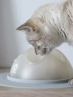 Cat Igloo - Jouet interactif pour Chat - Rose pastel