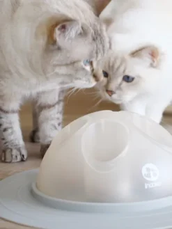 Cat Igloo - Jouet interactif pour Chat - Rose pastel