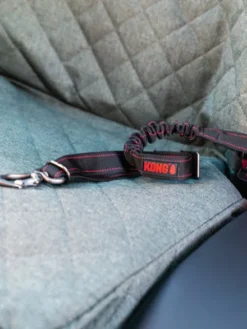 Ceinture de sécurité pour chien - Kong