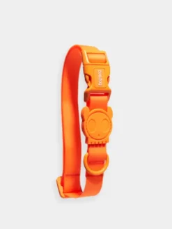 Collier en néoprène pour chien - Neopro Tangerine - Zee.Dog