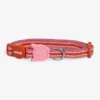 Collier pour chat - Velvet Vibes Courtney - Zee.Dog