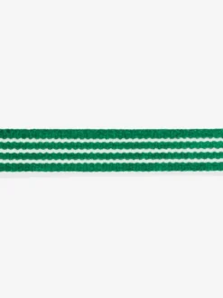 Collier pour chat - Velvet Vibes Vert - Zee.Dog