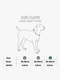 Collier pour chien DOG Copenhagen - Urban Style - Orange