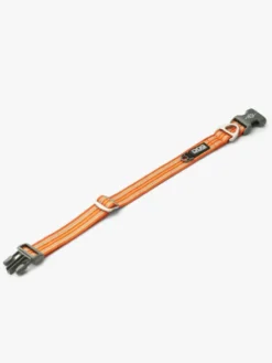 Collier pour chien DOG Copenhagen - Urban Style - Orange