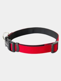 Collier pour chien Funston Rouge - Wildebeest