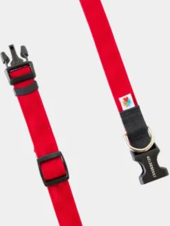 Collier pour chien Funston Rouge - Wildebeest