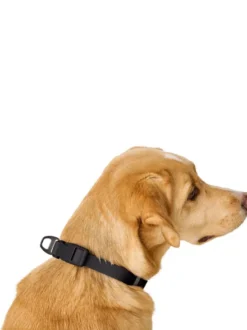 Collier pour chien imperméable et résistant - Havana noir - Hunter