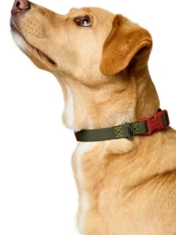 Collier pour chien imperméable et résistant - Havana army - Hunter