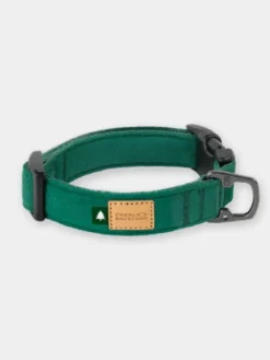 Collier pour chien - Town - Vert - Charlie's Backyard