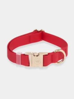 Collier waterproof Cloud pour chien - Cherry - Shop Sunny Tails
