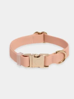 Collier waterproof Cloud pour chien - Chai - Shop Sunny Tails