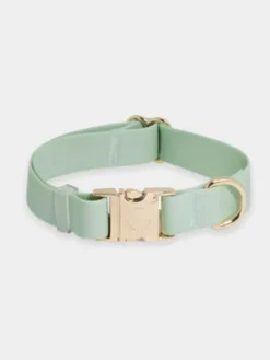 Collier waterproof Cloud pour chien - Pistache - Shop Sunny Tails