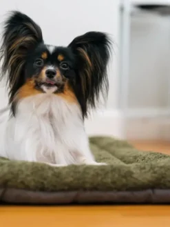 Couchage pour chien - Chill Pad Canyon Sauge - Pet PLAY