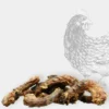 Cous de poulet à mâcher pour chien
