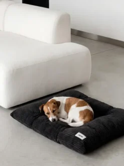 Coussin pour chien Bela - Velours côtelé noir - Cafide