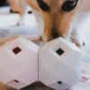 Distributeur de friandises interactif pour chien - The Odin - Gris