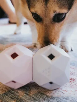 Distributeur de friandises interactif pour chien - The Odin - Gris