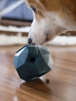 Distributeur de friandises interactif pour chien - The Odin - Gris foncé