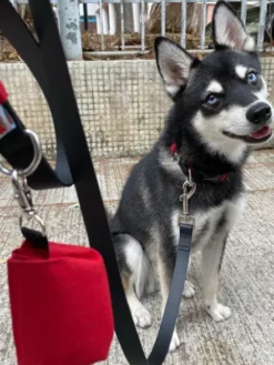 Distributeur de sacs à crottes pour chien - Rouge - Wildebeest