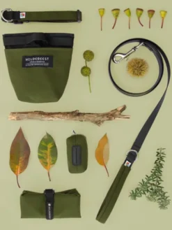 Distributeur de sacs à crottes pour chien - Vert - Wildebeest