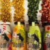 Délicieuse 🥤 boisson naturelle pour chien - Meat Red 🍲🐂🍓- Sloofie