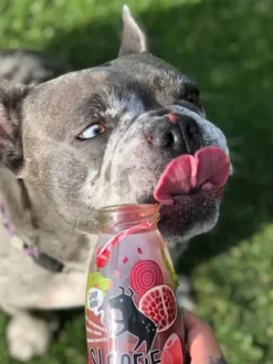 Délicieux Smoothie 🥤 naturel pour chien - Sweet Veggie 🍌🍎🍓- Sloofie