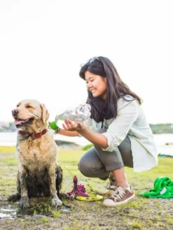 Douche portative pour chien