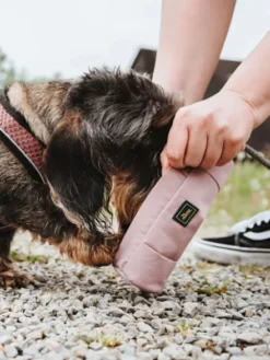 Dummy pour chien sac d'éducation - Rose - Hunter