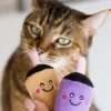 Duo de Jouets pour chat - Bubble Tea - Zippy Claws