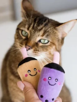 Duo de Jouets pour chat - Bubble Tea - Zippy Claws