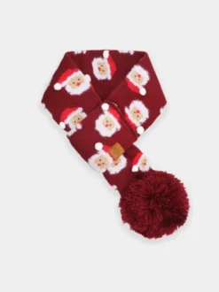 Echarpe de Noel pour chien - Père Noël 🎅🏻 Ho Ho Ho! - The Foggy Dog