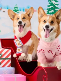 Echarpe de Noel pour chien - Rennes de Noël - The Foggy Dog