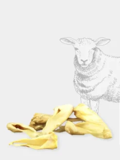 Friandise de mastication - Oreille d'agneau - Pets Best