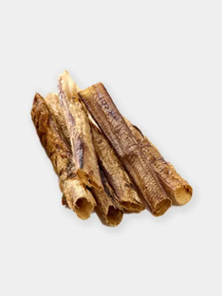 Friandise de mastication pour chien - Trachée d'autruche