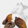 Friandise de mastication pour chien - Oreille de Sanglier 🐗